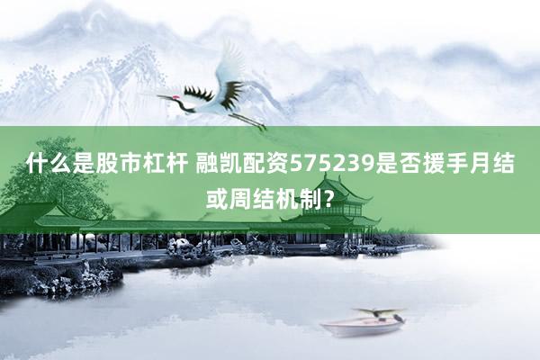 什么是股市杠杆 融凯配资575239是否援手月结或周结机制？