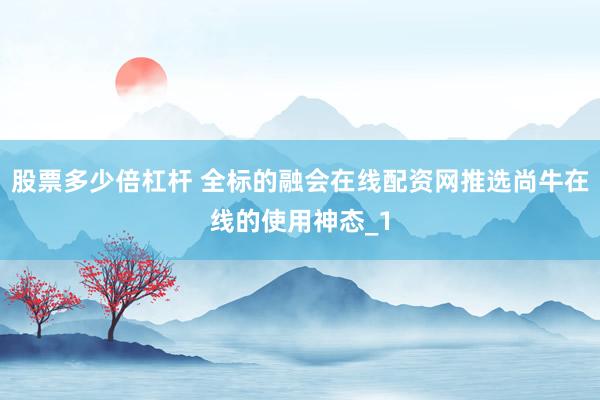 股票多少倍杠杆 全标的融会在线配资网推选尚牛在线的使用神态_1