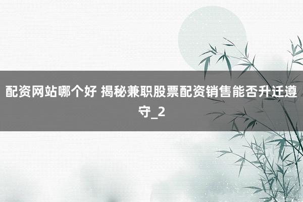 配资网站哪个好 揭秘兼职股票配资销售能否升迁遵守_2